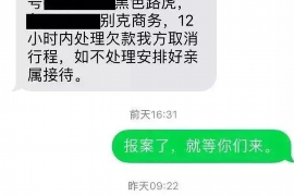 牡丹江为什么选择专业追讨公司来处理您的债务纠纷？